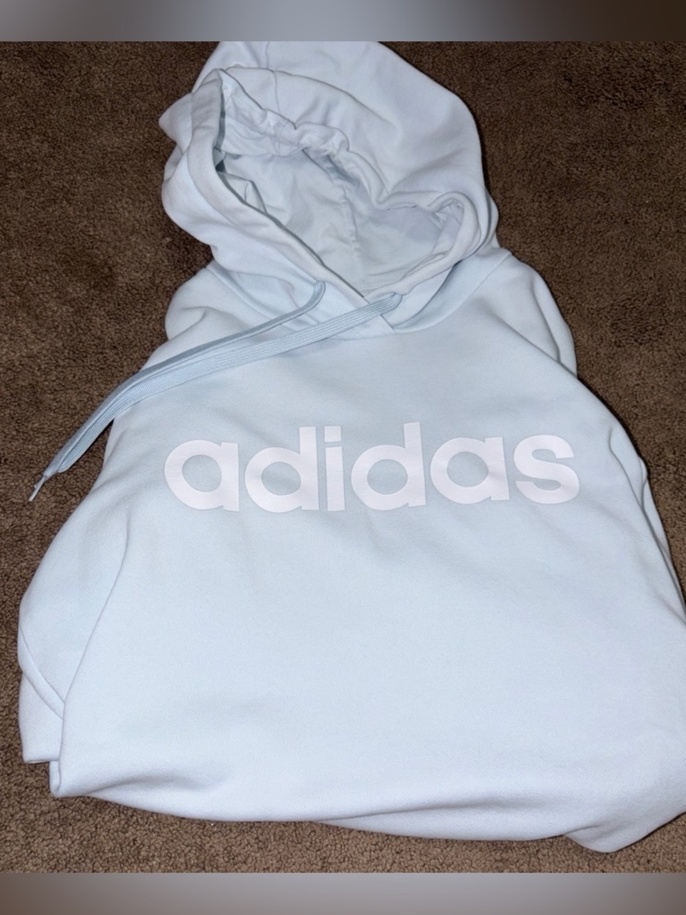 adidas Pastel Blue Logo Pullover Hoodie